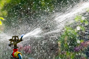 Automatic Garden Lawn sprinkler in action watering grass. Green Nature Background concept