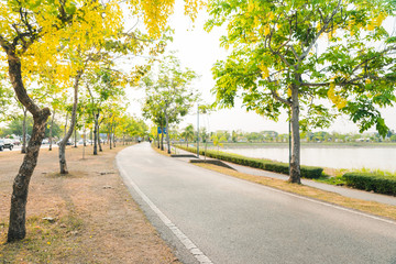 Obraz premium Jogging track for exercise at the replubbic park with beautiful cassaia fistua blooming