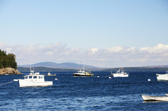 Fototapeta The Gulf of the Atlantic Ocean and small islands, many boats in the water. The coast of the Atlantic Ocean. USA. Maine  Bar Harbor,  