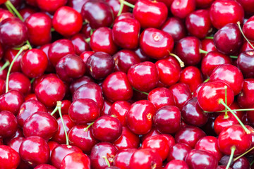 Close up of pile of ripe cherries with stalks. Large collection of fresh red cherries. Ripe cherries background