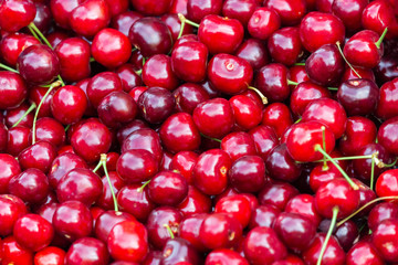 Close up of pile of ripe cherries with stalks. Large collection of fresh red cherries. Ripe cherries background