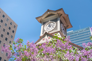 時計台とライラック / 札幌市の観光イメージ