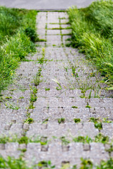 Obraz premium Steps down