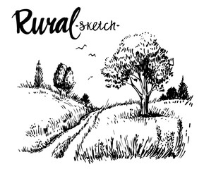 Fototapeta premium Rural landscape road