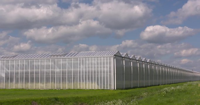 Corner of a glasshouse under cloudy sky. Controlled environment horticulture (CEH) is the most modern and sophisticated form of greenhouse horticulture