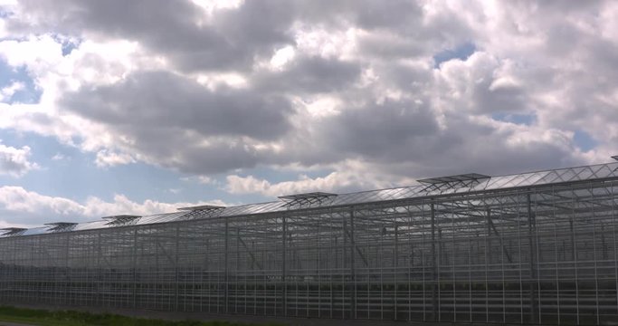 Greenhouse horticulture under cloudy sky, roof windows open, vehicle passing by. Controlled environment horticulture (CEH) is the most modern and sophisticated form of greenhouse horticulture