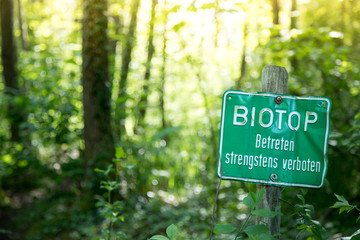 Naturschutzgebiet, Wald. Gr&uuml;nes Schild "Biotop, betreten verboten", Textfreiraum