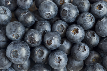 Background of ripe blueberries with dew drops