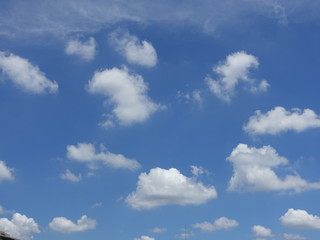Obraz premium 青空