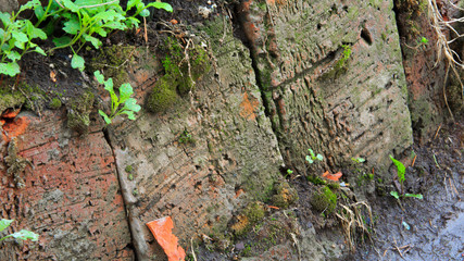 old red brick with moss