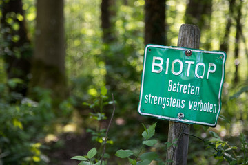 Naturschutzgebiet, Wald. Grünes Schild 