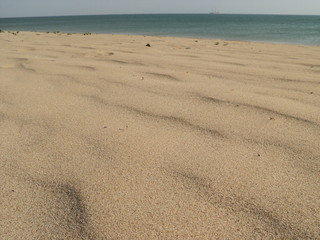 on the beach