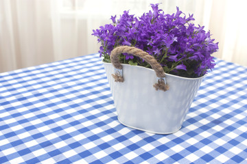 Blue bells in a pot