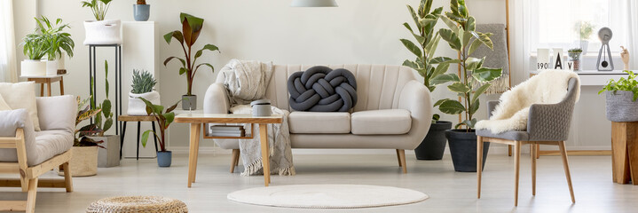 Knot dark cushion placed on light grey sofa standing in bright living room interior with fresh plants, white rug and wooden coffee table - obrazy, fototapety, plakaty