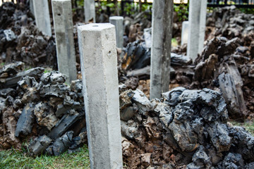 Group of foundation concrete pile put into the ground as structure base in house construction site.