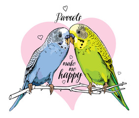 Two Beautiful little green and blue Wavy Parrots kiss on a pink background. Vector illustration.