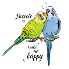 Two Beautiful little green and blue Wavy Parrots kiss. Vector illustration.