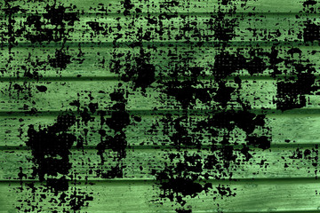 Grunge Ultra green Wooden bench plank texture for web site or mobile devices, design element