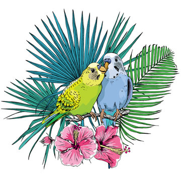 Two Beautiful little green and blue Wavy Parrots kiss on a Tropical leaves and flowers background. Vector illustration.