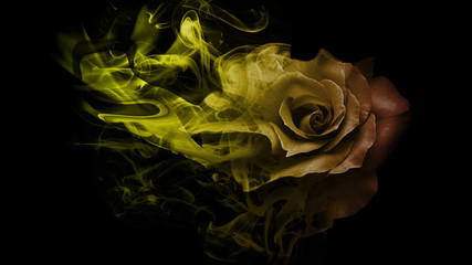 Smoke rose from