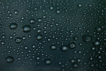 water drops on green background texture