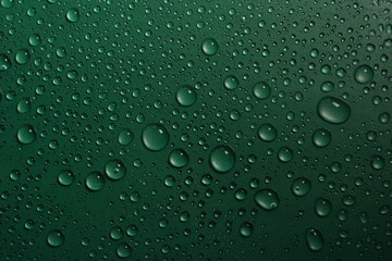 Plakat water drops on green background texture