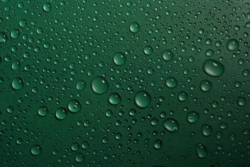 Plakat water drops on green background texture