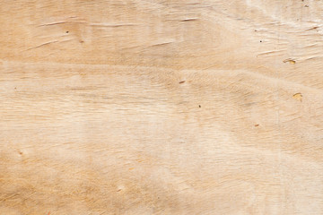 Old wooden texture for background.