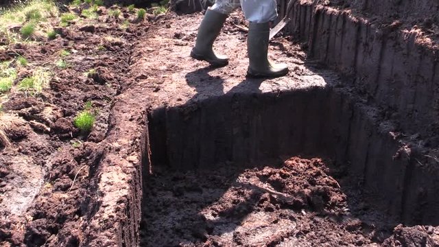Fitting and Cutting Turf Peat with a spade in a Moss Bog in Ireland