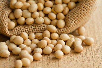 Dry food product, soy bean in sack close up. Concept: grocery background, soymilk, soy product.