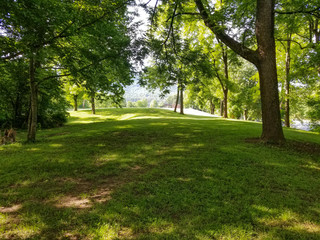 grassy knoll