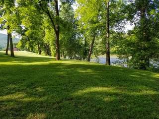 grassy hill