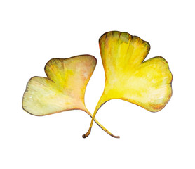 Naklejka premium water colour autumn illustration