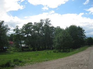Forest