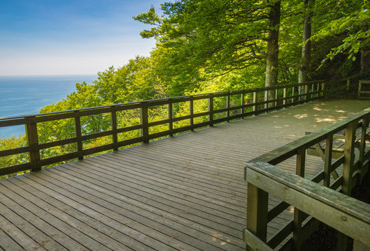Sea and Forest