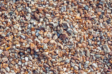 Small stones on the ground.