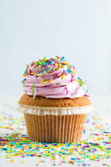 Closeup of cupcakes with vanilla, berries, pink and white cream, chocolate and sprinkles on wooden background. Selective focus. Sweet dessert tasty food concept muffin.