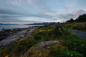 Road near shore of the lake with view to mountains in the Norway at summer sunset