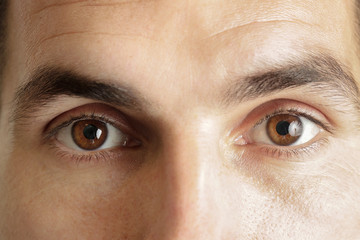 Fototapeta premium Zamknij się widok brązowych oczu człowieka patrząc na kamery