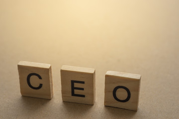 CEO Chief Executive Officer