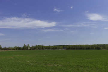 Country side summer landscape. Beautiful green fields and blue sky. White clouds