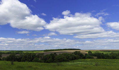 Fototapeta na wymiar Country side summer landscape. Beautiful green fields and blue sky. White clouds