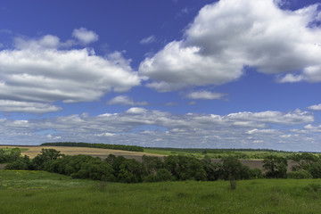 Fototapeta na wymiar Rural summer countryside landscape