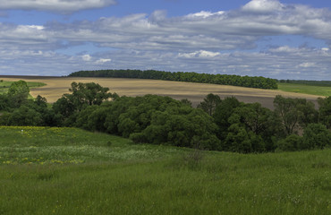 Fototapeta na wymiar Rural summer countryside landscape