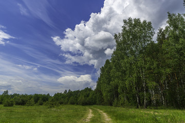 summer landscape. sunny summer day. white clouds on a blue sky. green hills, forests and fields.