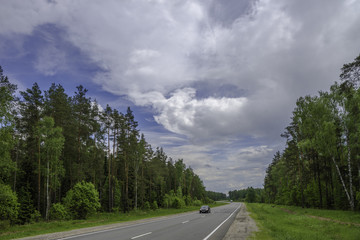 Rural summer countryside landscape. Forest before the rain. Beautiful trees in a summer forest