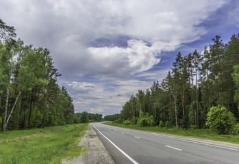 Fototapeta premium Rural summer countryside landscape. Forest before the rain. Beautiful trees in a summer forest