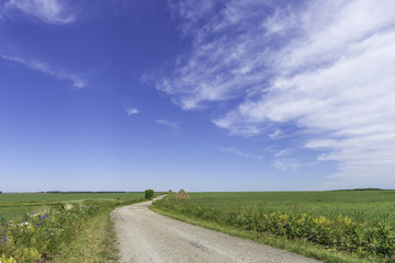 summer landscape. sunny summer day. white clouds on a blue sky. green hills, forests and fields.