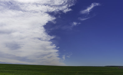 Fototapeta na wymiar Field and clouds