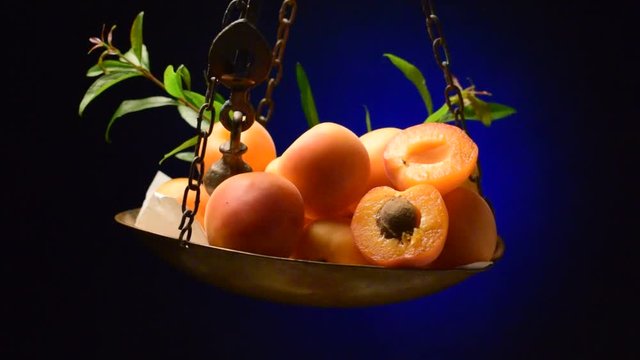 Albicocca Абрикос Βερίκοκο Apricot میوه  video фрукт frutta Abricot زردآلو Morela Ծիրան fruit միրգ Kayısı Abrikos frugt Baracuccu 